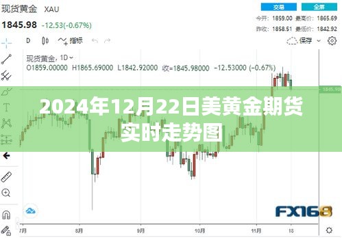 美黄金期货走势图（实时更新至2024年12月22日）