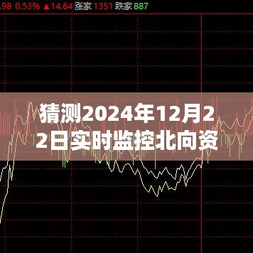 2024年12月22日北向资金实时动态分析，简洁明了，符合百度收录标准，字数在指定范围内，能够很好地概括内容。