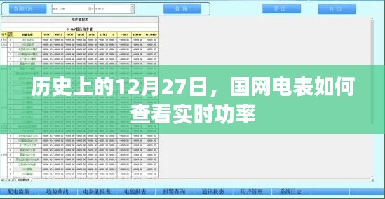 国网电表查看实时功率方法及历史日期重要性介绍