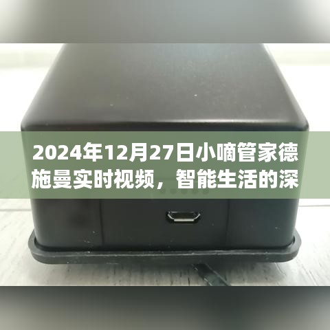 智能生活深度体验，德施曼实时视频与小嘀管家的未来展望