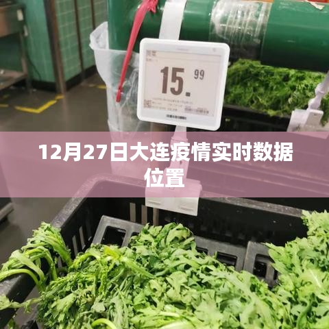 大连疫情实时数据动态更新（最新位置信息）