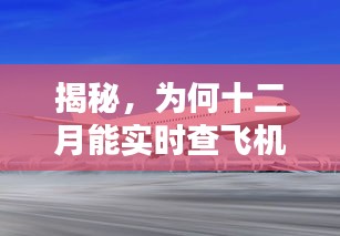 揭秘十二月实时查飞机原因，深度解析背后的秘密！