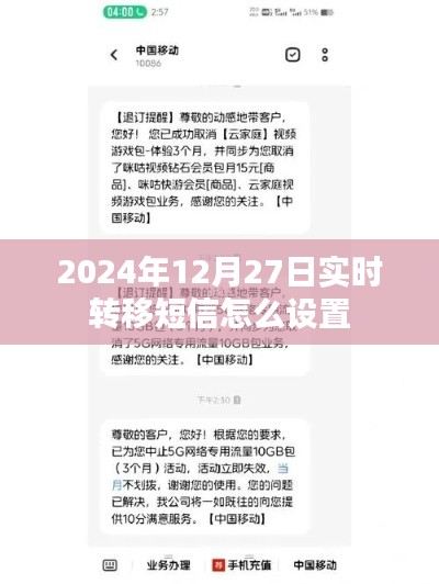 短信实时转移设置教程，2024年短信转移操作指南