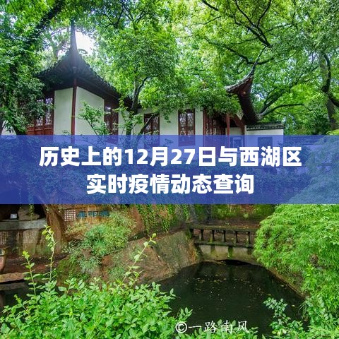 历史上的西湖区疫情动态与实时疫情查询