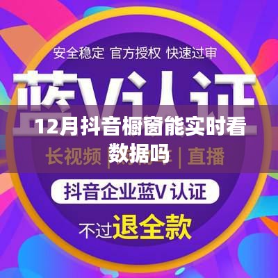 抖音橱窗12月数据实时查看功能介绍