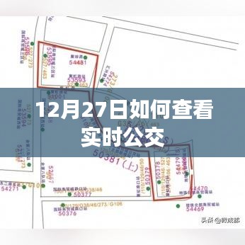 如何查看实时公交？公交实时查询指南