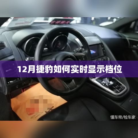 捷豹车辆实时档位显示指南