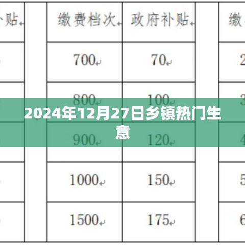 乡镇热门生意，把握机遇，共创未来（2024年12月27日）