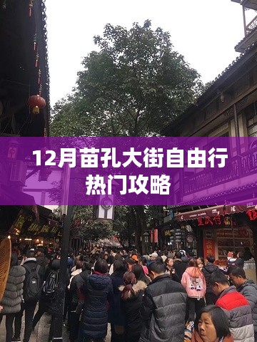 苗孔大街12月自由行攻略大全