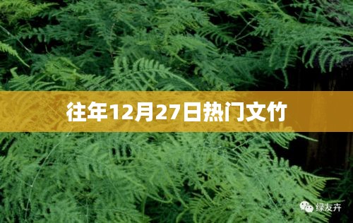 文竹的冬季魅力，历年12月27日热门盘点