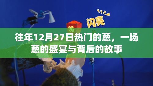 葱宴盛宴背后的故事，历年12月27日的葱热潮