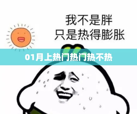 揭秘热点背后的真相，一月热议话题深度剖析