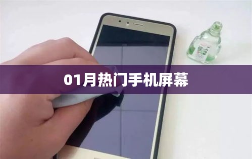 热门手机屏幕大比拼，一月新品悉数登场