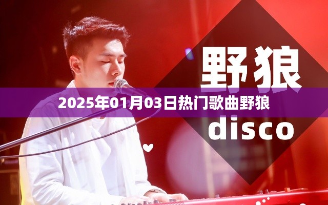 2025年元旦热门歌曲野狼风靡全网