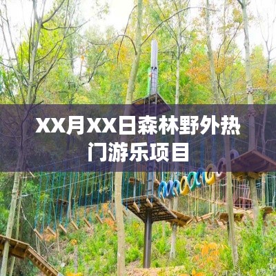 森林野外热门游乐项目揭秘，探险之旅的乐趣体验