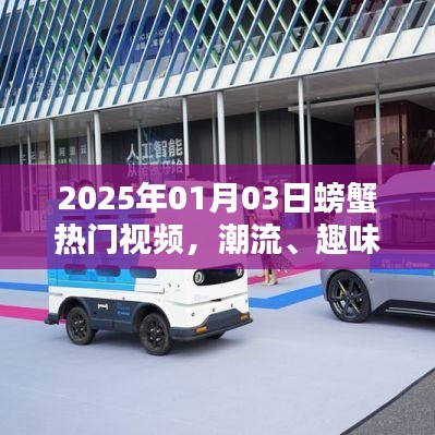 2025年螃蟹视频盛宴，潮流、趣味与深度交汇