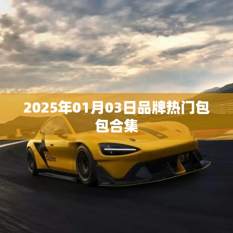 『时尚前沿』2025热门包包大赏