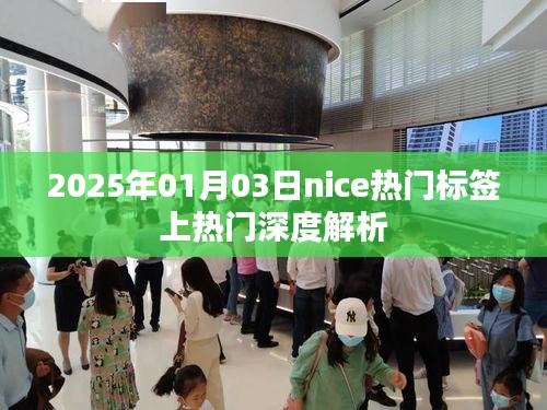 关于Nice热门标签的深度解析，揭秘背后的秘密（日期标注）