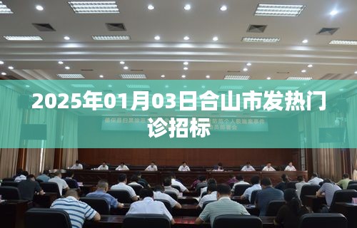 合山市发热门诊招标公告（2025年1月）