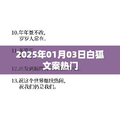 白狐文案，揭秘热门背后的故事，时间锁定在2025年