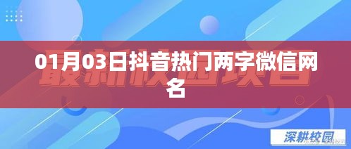 抖音热门两字微信网名精选，每日更新排行推荐