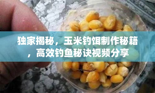 独家揭秘，玉米钓饵制作秘籍，高效钓鱼秘诀视频分享