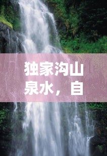 独家沟山泉水，自然精髓，甘甜生活之源