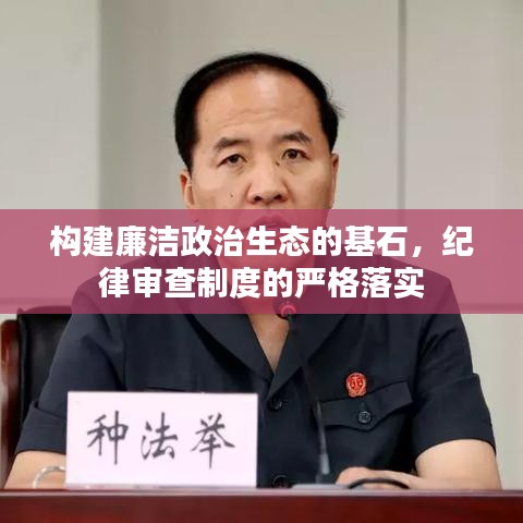 构建廉洁政治生态的基石，纪律审查制度的严格落实