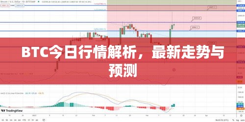 BTC今日行情解析，最新走势与预测