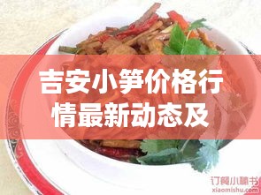 吉安小笋价格行情最新动态及分析