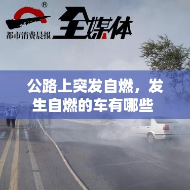 公路上突发自燃，发生自燃的车有哪些 