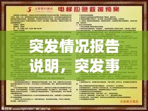 突发情况报告说明，突发事件情况说明 