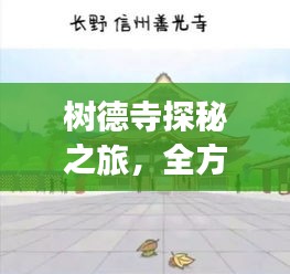 树德寺探秘之旅，全方位攻略指南