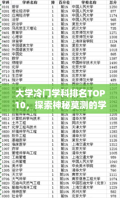 大学冷门学科排名TOP10，探索神秘莫测的学术殿堂