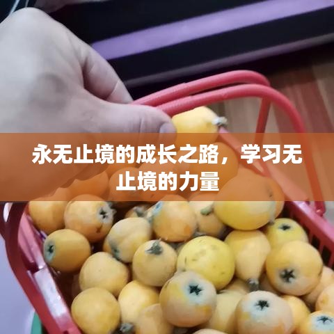 永无止境的成长之路，学习无止境的力量