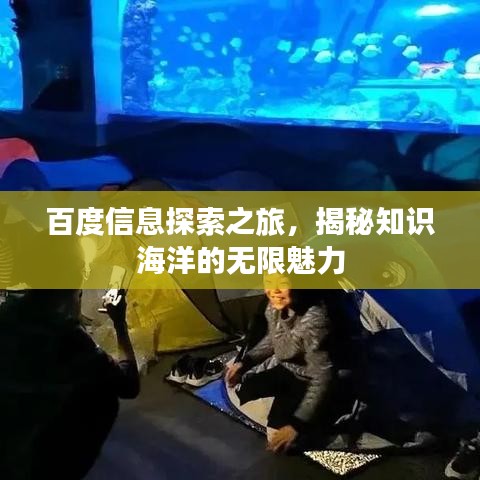 百度信息探索之旅，揭秘知识海洋的无限魅力