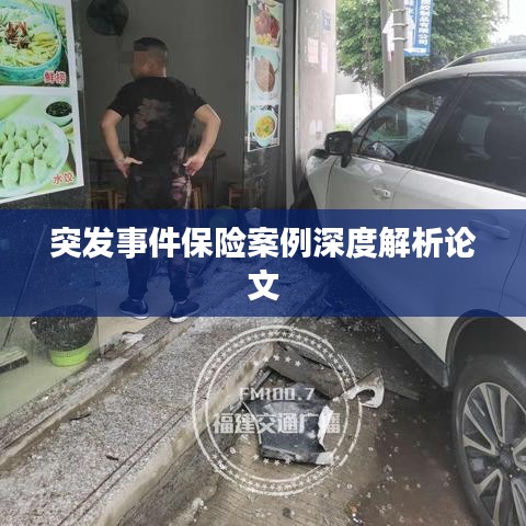 突发事件保险案例深度解析论文