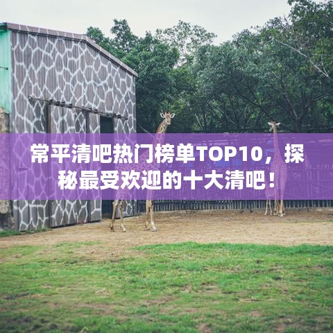 常平清吧热门榜单TOP10，探秘最受欢迎的十大清吧！