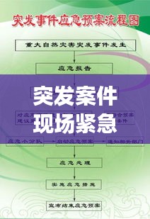 突发案件现场紧急应对与公众安全保障措施