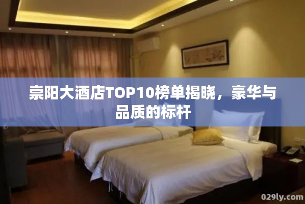 崇阳大酒店TOP10榜单揭晓，豪华与品质的标杆