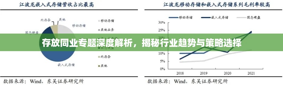 存放同业专题深度解析，揭秘行业趋势与策略选择