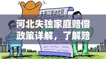 河北失独家庭赔偿政策详解，了解赔偿权益，维护家庭权益