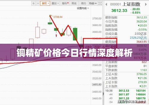 铜精矿价格今日行情深度解析