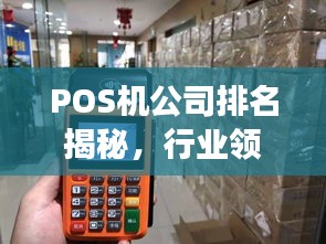 POS机公司排名揭秘，行业领军者的成功奥秘探索