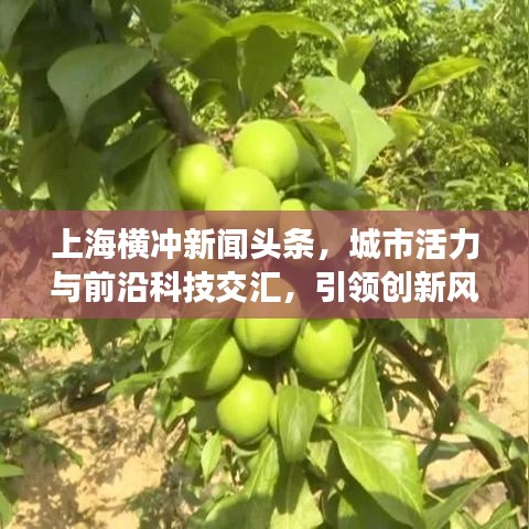 上海横冲新闻头条，城市活力与前沿科技交汇，引领创新风潮