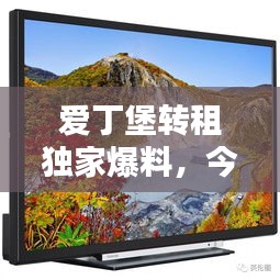 爱丁堡转租独家爆料，今日最新动态一网打尽！