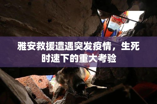 雅安救援遭遇突发疫情，生死时速下的重大考验