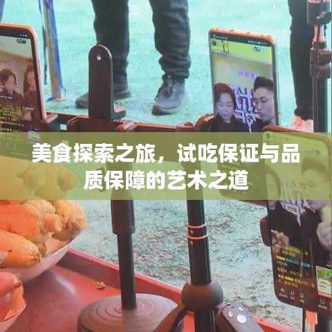 美食探索之旅，试吃保证与品质保障的艺术之道