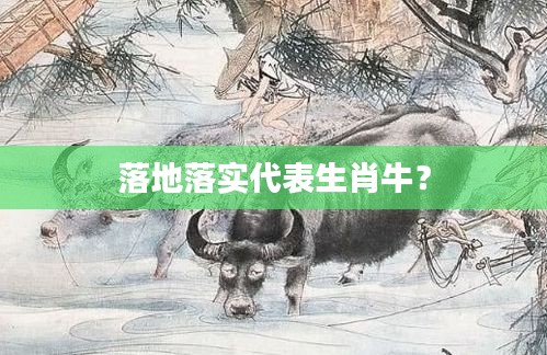 落地落实代表生肖牛？