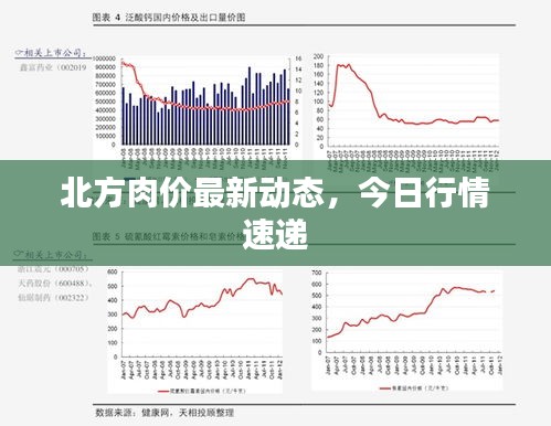 北方肉价最新动态，今日行情速递